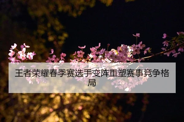 王者荣耀春季赛选手变阵重塑赛事竞争格局